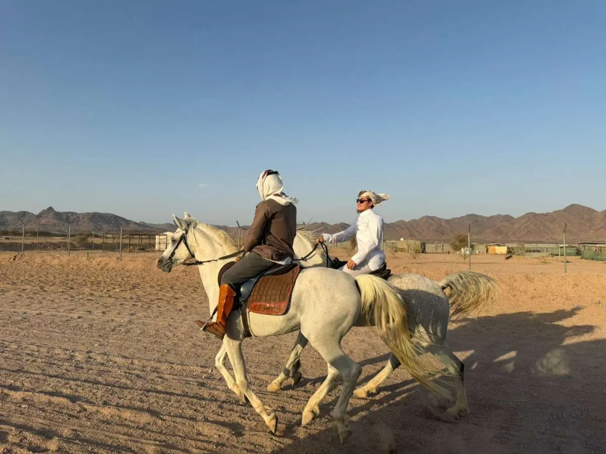 Berkuda di gurun Madinah